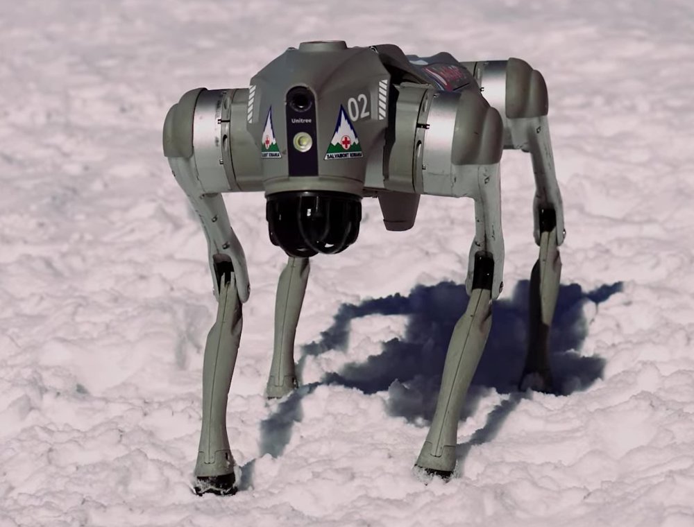 A Unitree Go2 quadruped robot equipped for Romanian mountain rescue duty