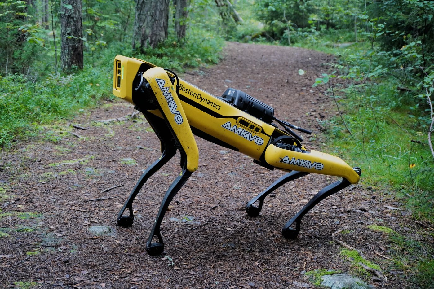 A Boston Dynamics Spot quadruped robot walking down a forest trail