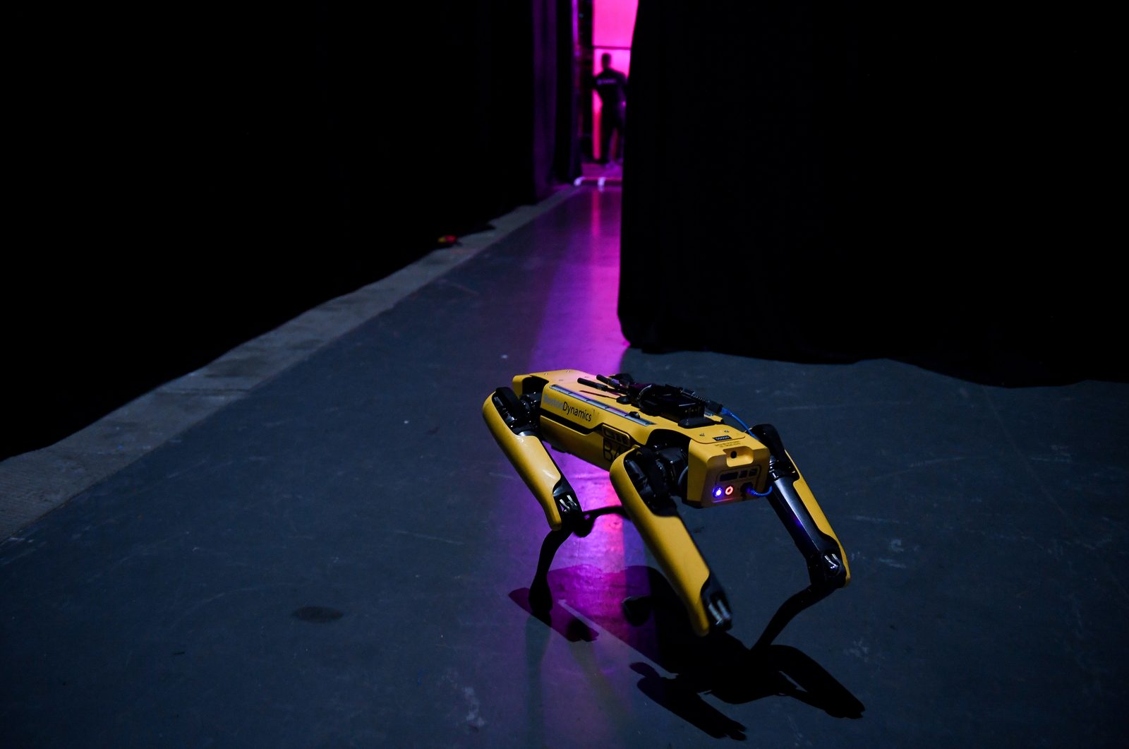 Boston Dynamics' SpotMini quadruped robot on display